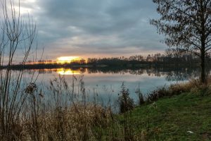 In diesem Baggersee zwischen Wadersloh und Liesborn wurde die Person gefunden.